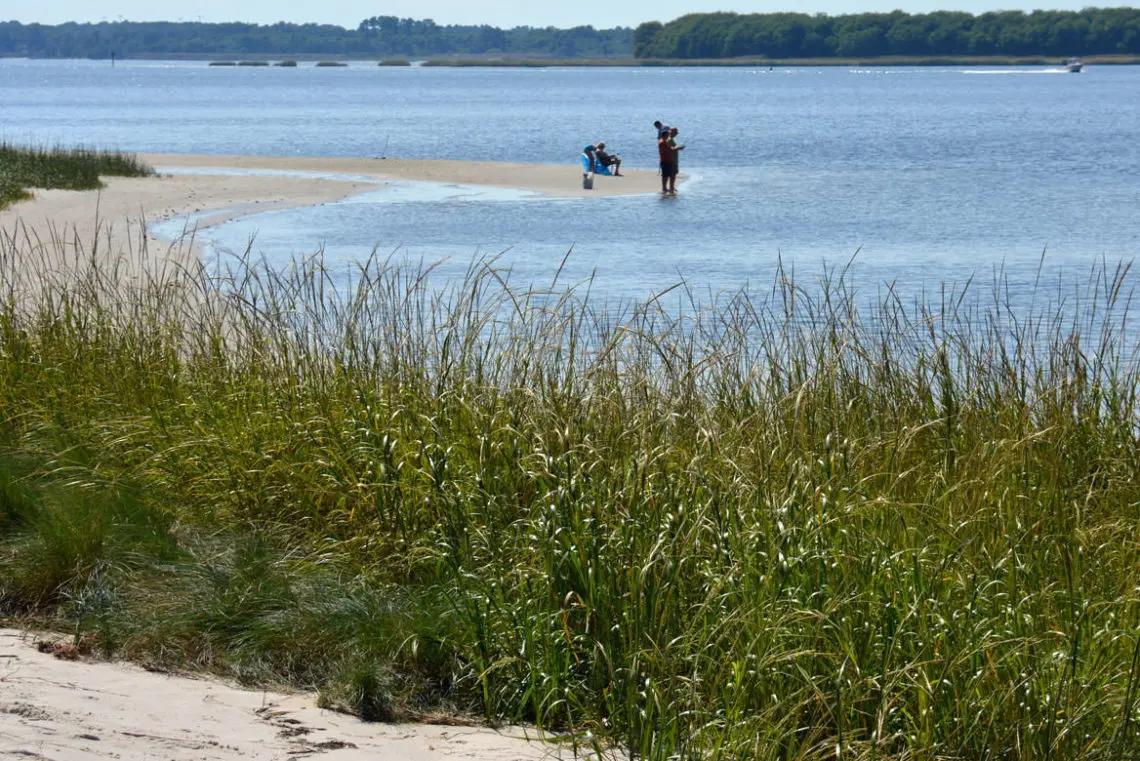Carolina Beach State Park