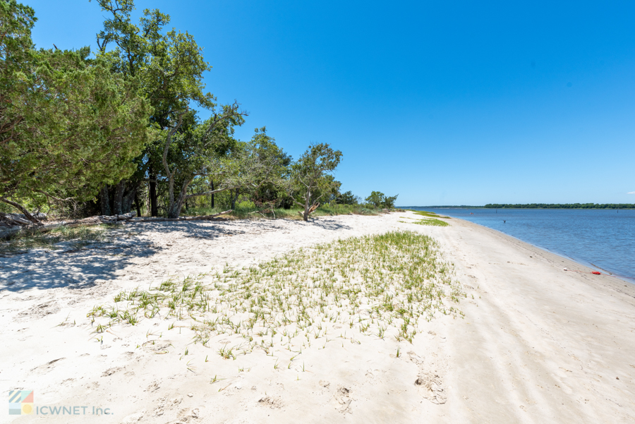 Carolina Beach State Park