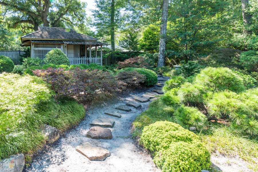 New Hanover Arboretum