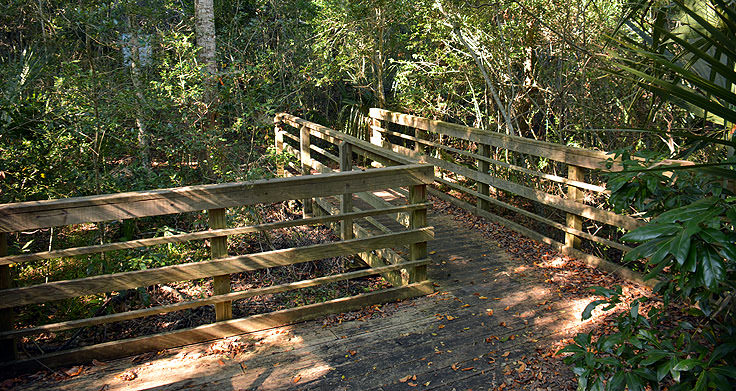 A wooden bridge in Bald Head Woods, NC