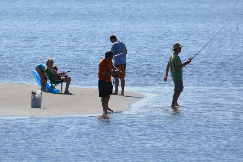 Sun, Sand, and Serenity: Discover the Magic of Carolina Beach State Park