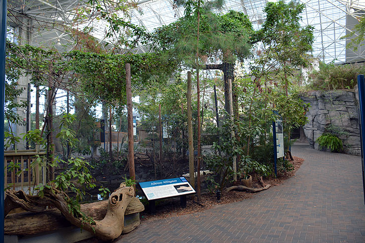 N.C. Aquarium at Fort Fisher exhibits