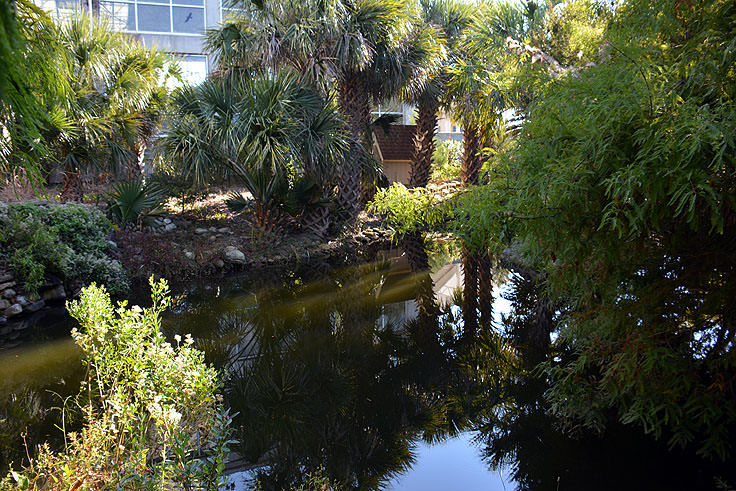 An outdoor nature walk at N.C. Aquarium at Fort Fisher