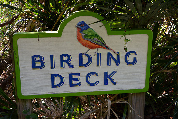 The birding deck at N.C. Aquarium at Fort Fisher