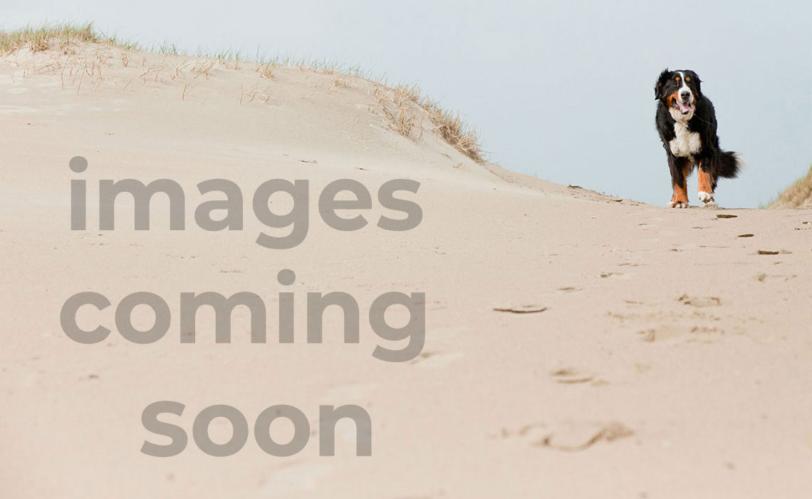A Sail Away - Essential Beach Gear inclu...
