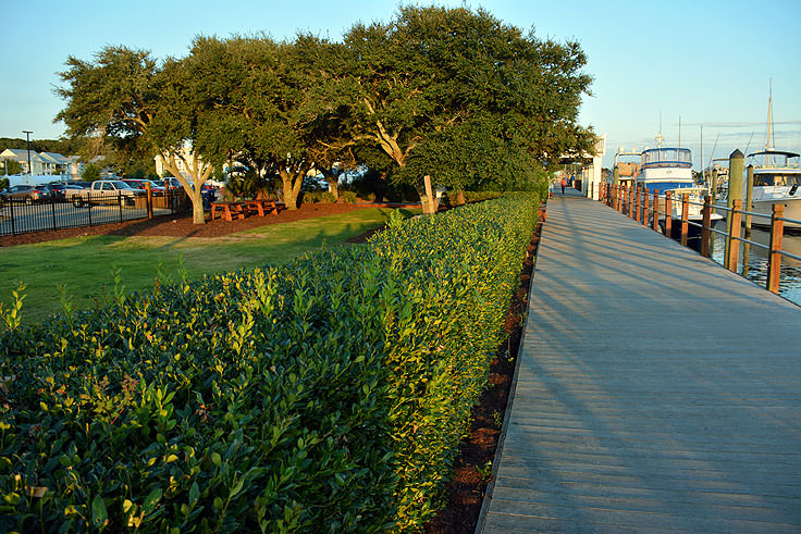 Southport Marina