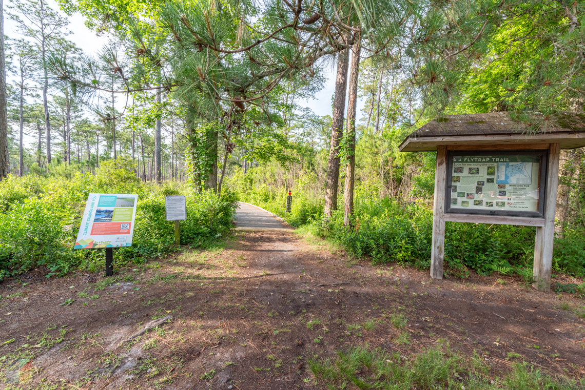 Carolina Beach State Park