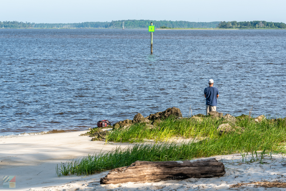 Carolina Beach State Park