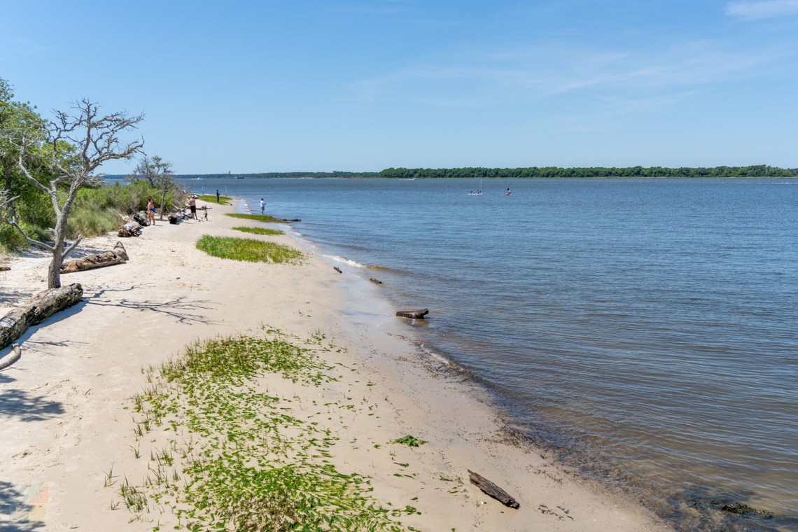 Carolina Beach State Park