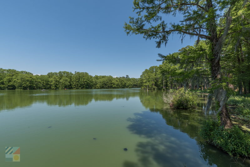 Greenfield Lake Park in Wilmington NC