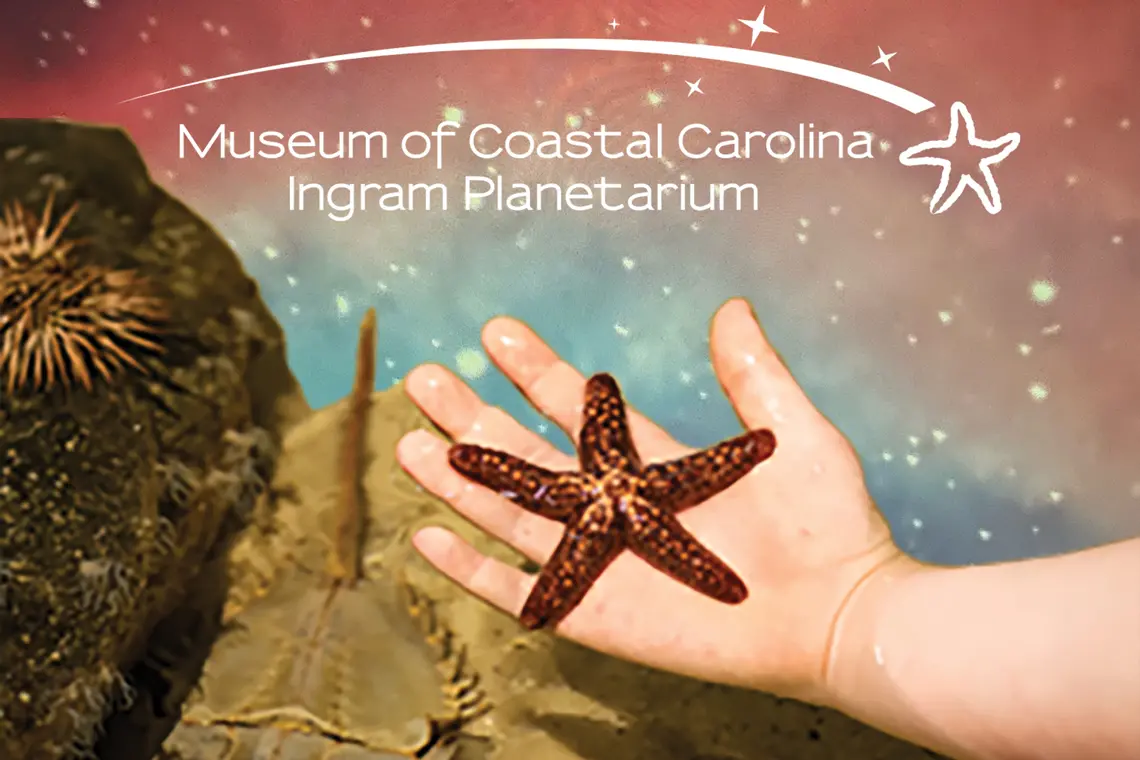 Museum of Coastal Carolina