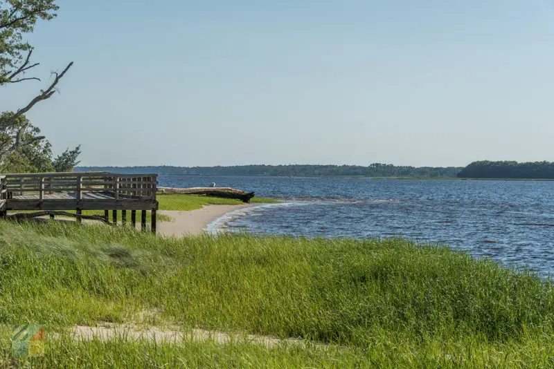 Carolina Beach State Park