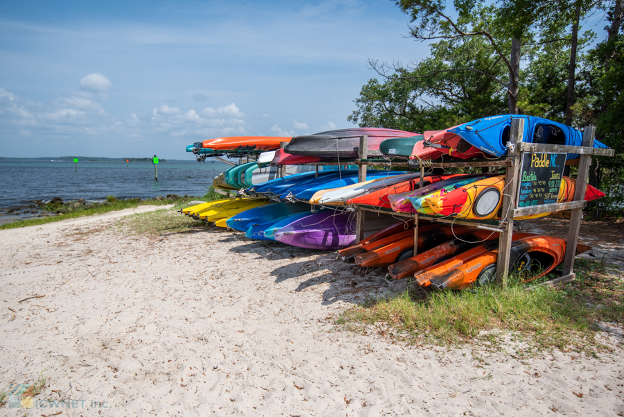 Carolina Beach State Park