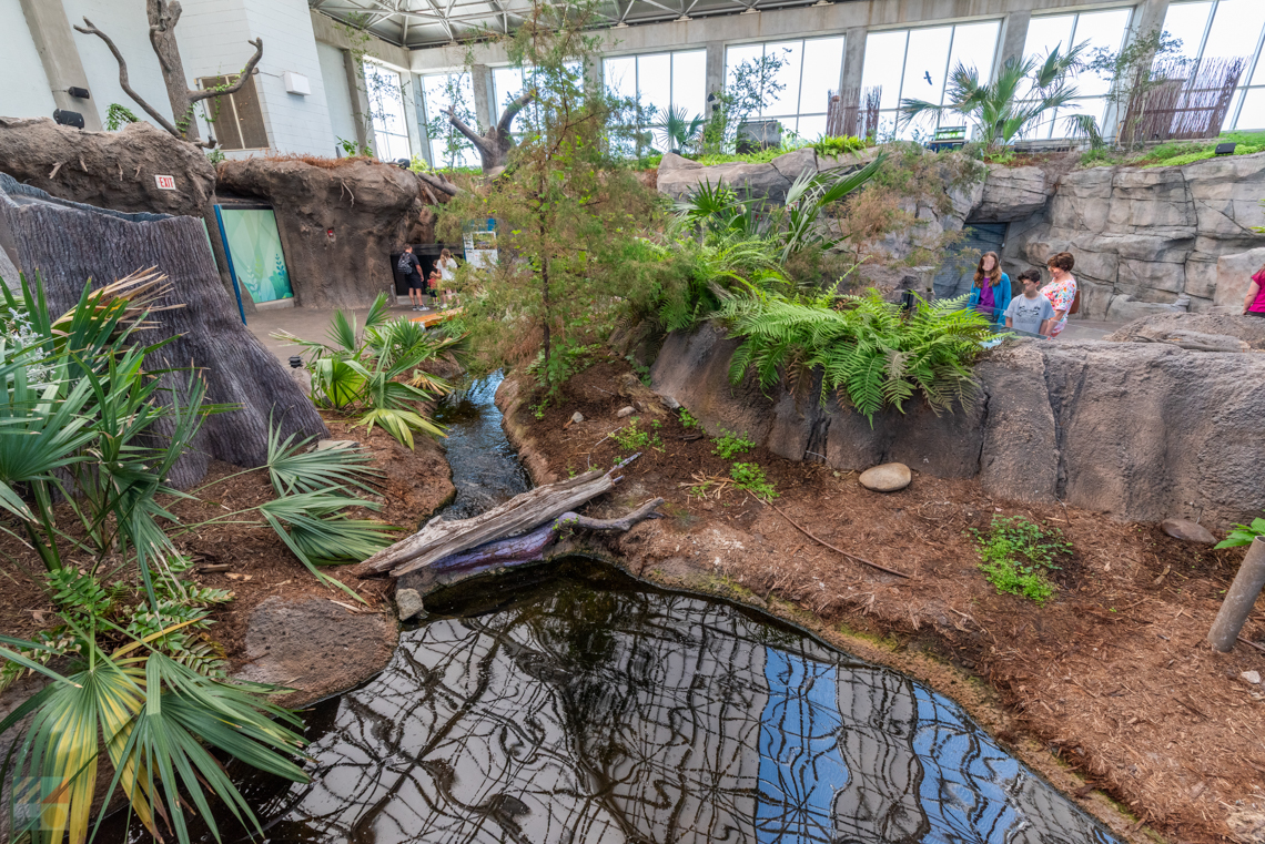 Activities for Kids near Carolina Beach - CarolinaBeach.com