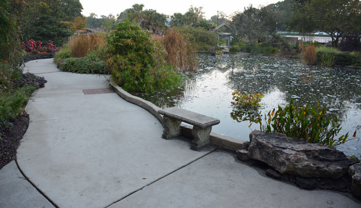 The walking path at New Hanover County Arboretum in Wilmington, NC