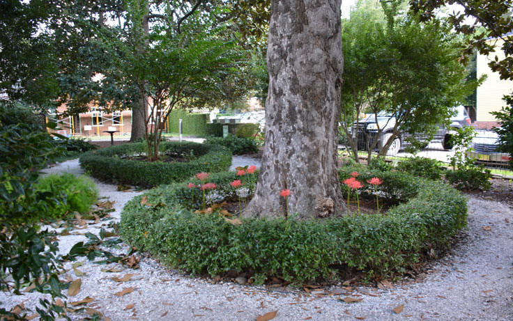 Bellamy Mansion Museum in Wilmington, NC