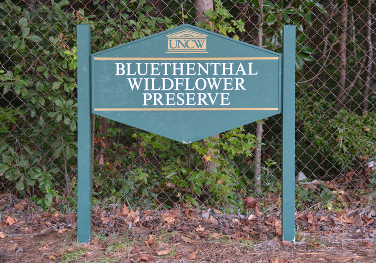 Herbert Bluethenthal Memorial Wildflower Preserve UNCW sign