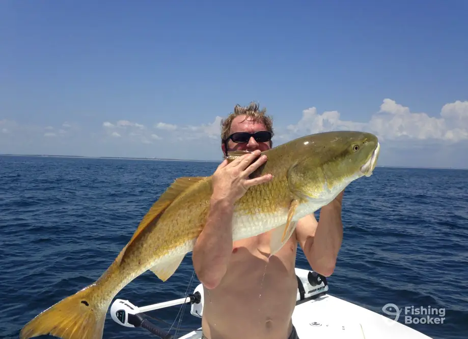 Captain Big Fish – Light Lines charter image 4