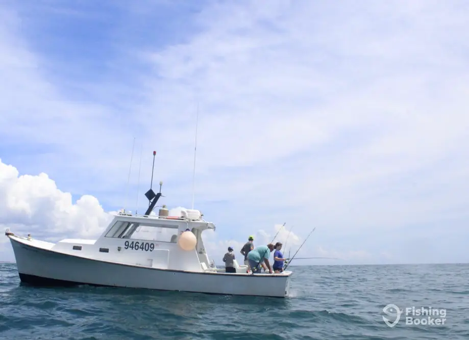 South End Adventures charter image 2