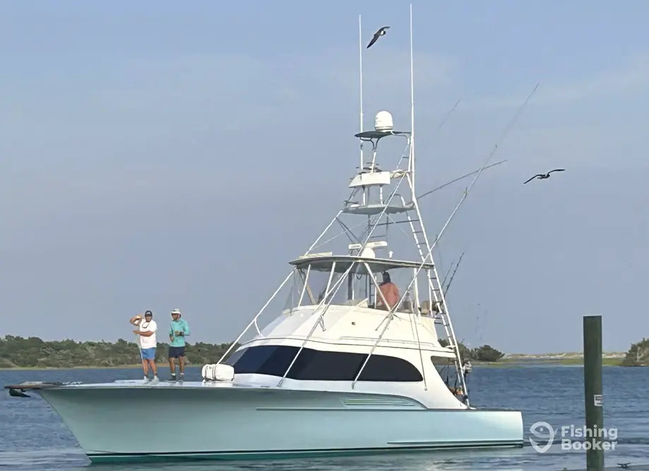 Sea Smiles Charters