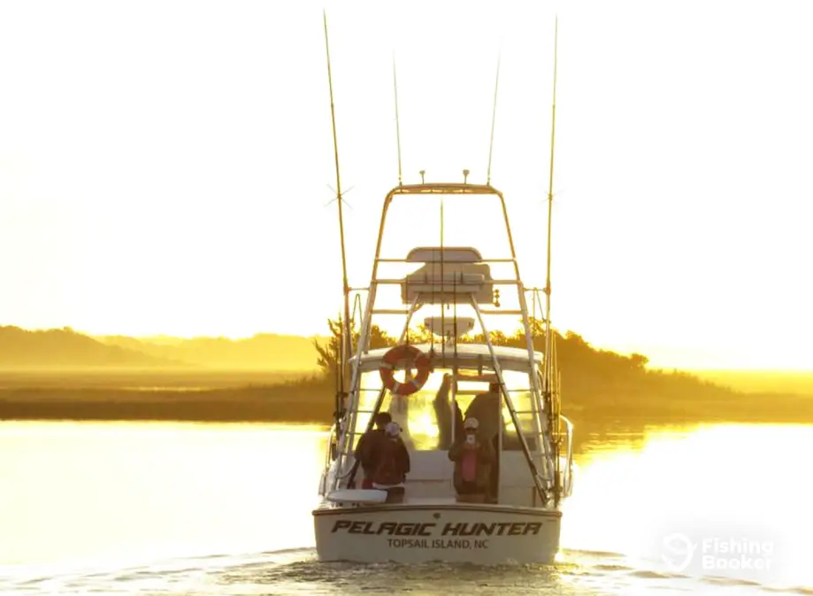Pelagic Hunter Sportfishing charter image 2