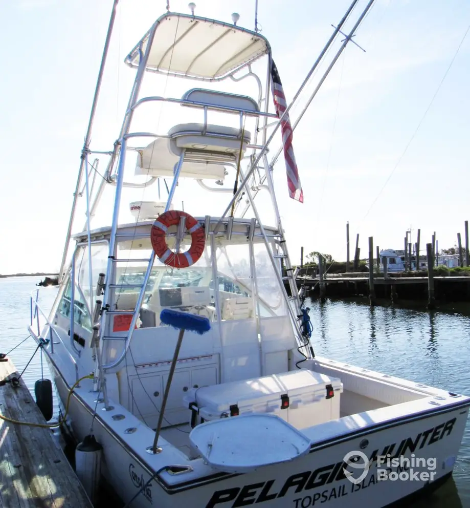 Pelagic Hunter Sportfishing charter image 5